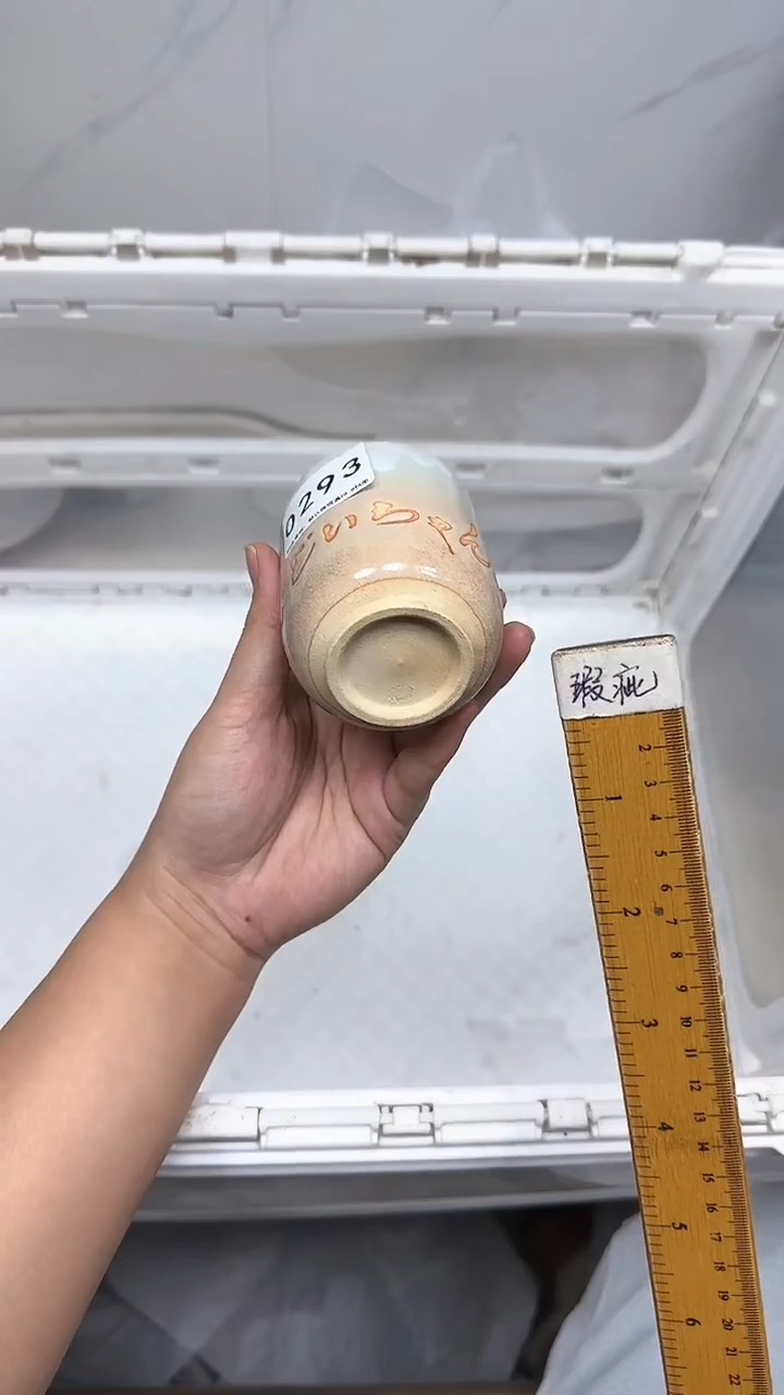【闪购商品】293回流瓷器默认微瑕，18.8包邮