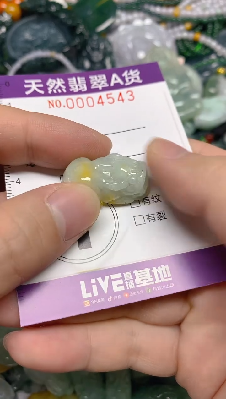 颈饰未镶嵌翡翠0004543