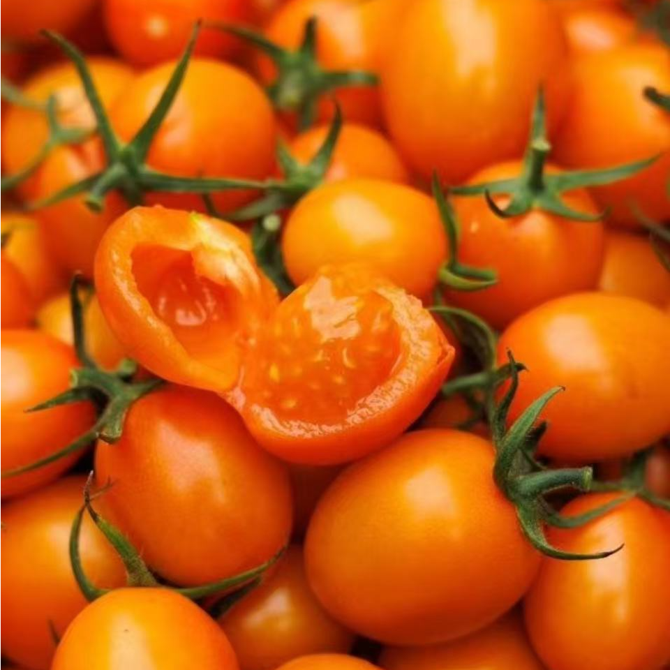 《农人老三》海南空运黄珍珠小番茄 顺丰包邮g海南省海南省