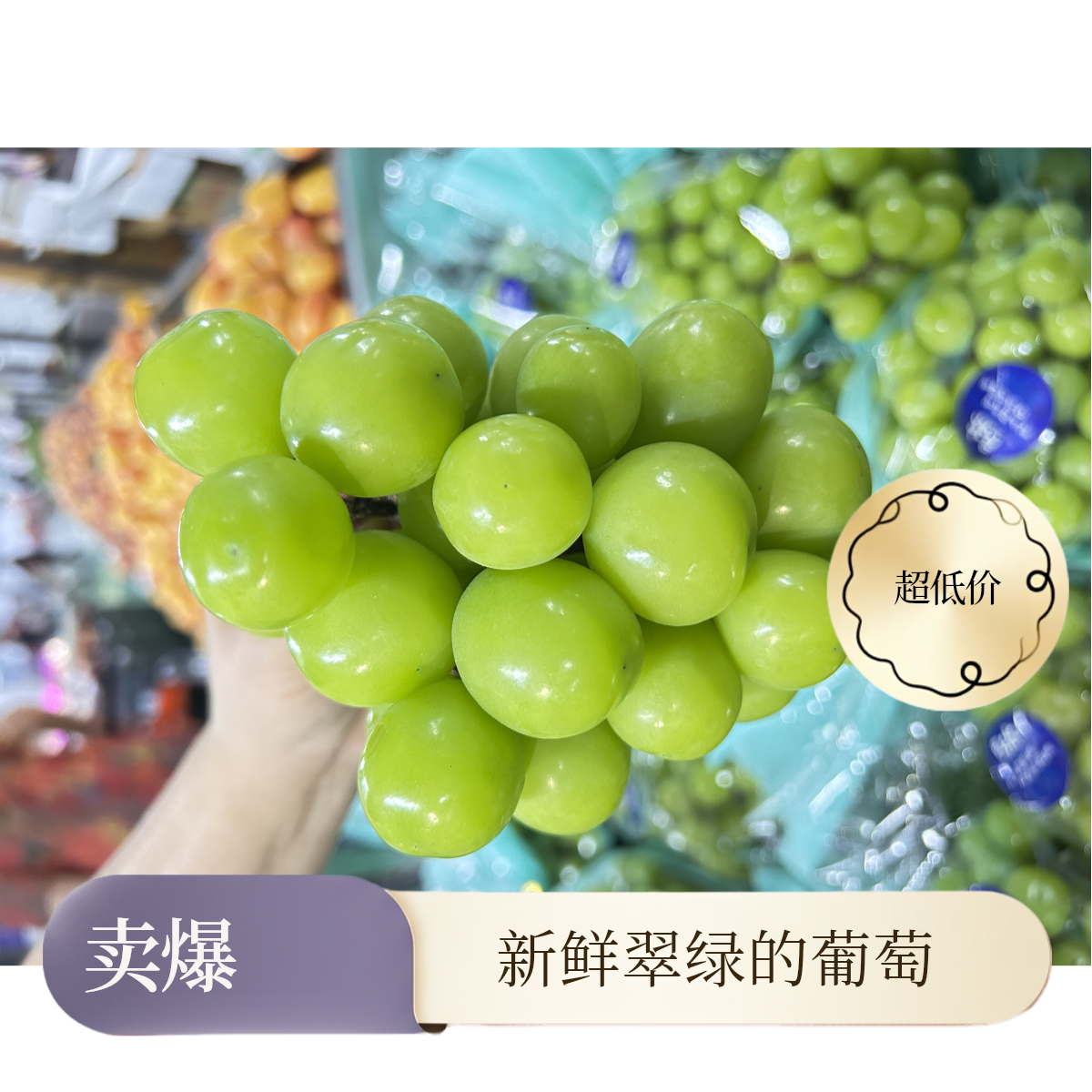 新鲜晴王葡萄500g陕西省