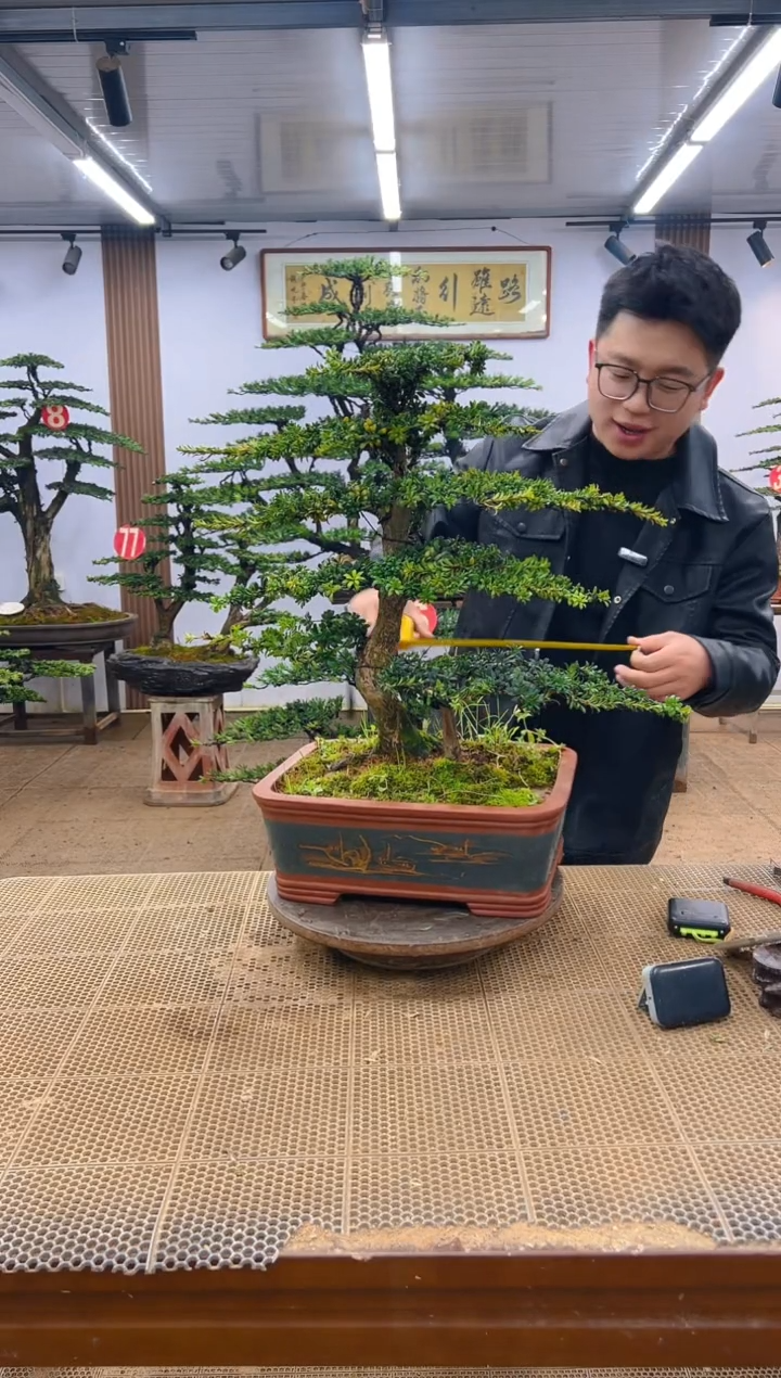 一物一拍，所见即所得