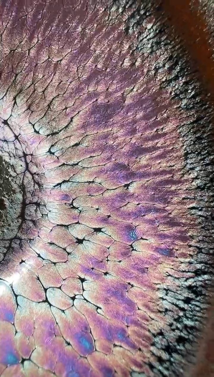 【闪购商品】茶盏38华瓷有为精品茶盏