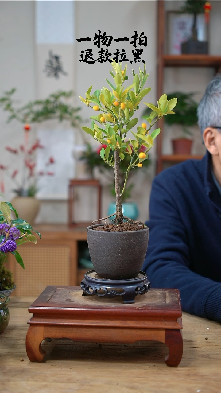 完全开放蕪*謂金豆447