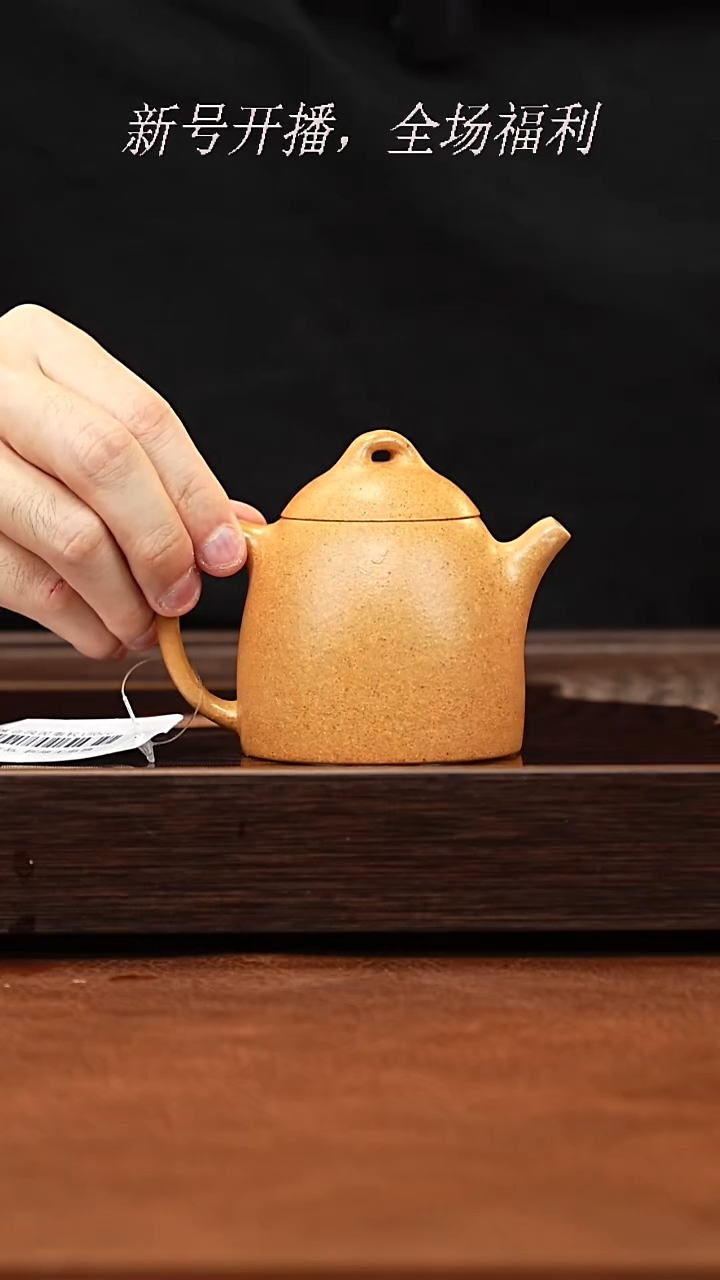 茶壶紫砂28y03秦权