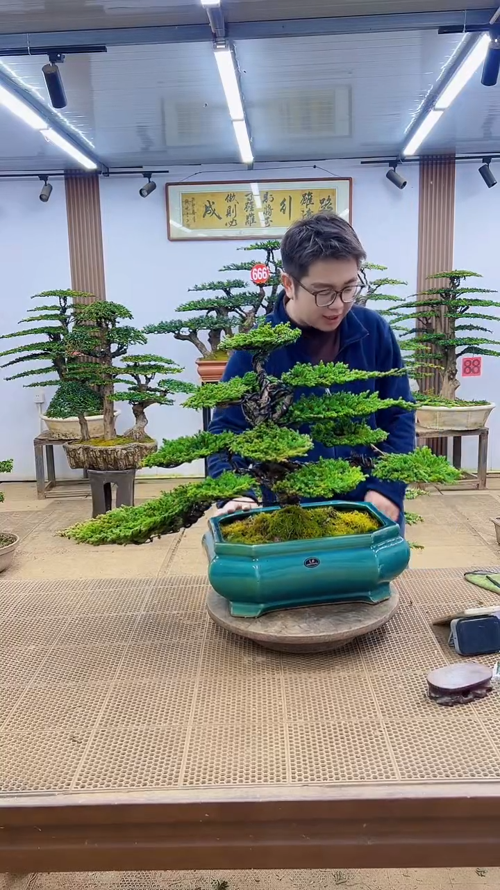 无花朵000000000000