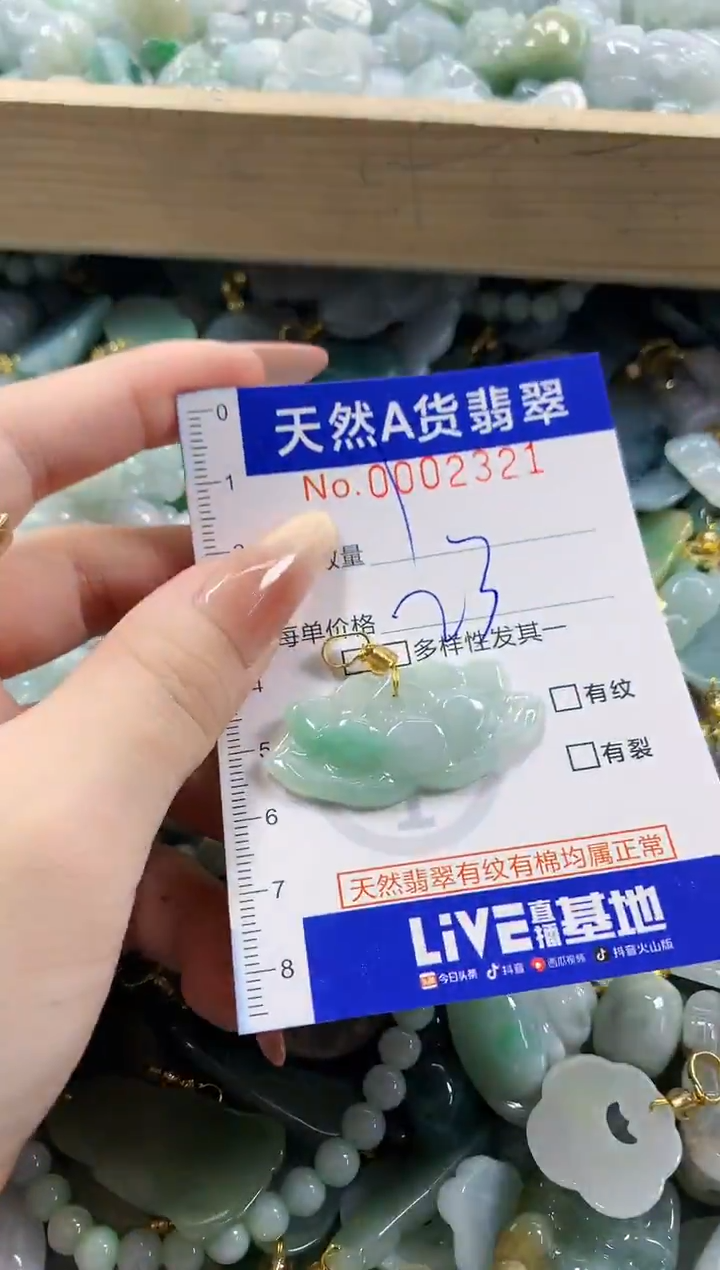 颈饰未镶嵌翡翠天然A货翡翠