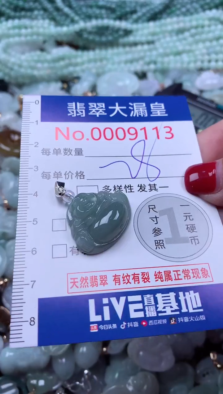 颈饰未镶嵌翡翠9113