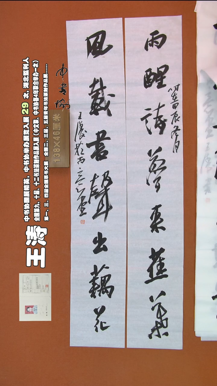 【闪购商品】书法302王涛书法作品