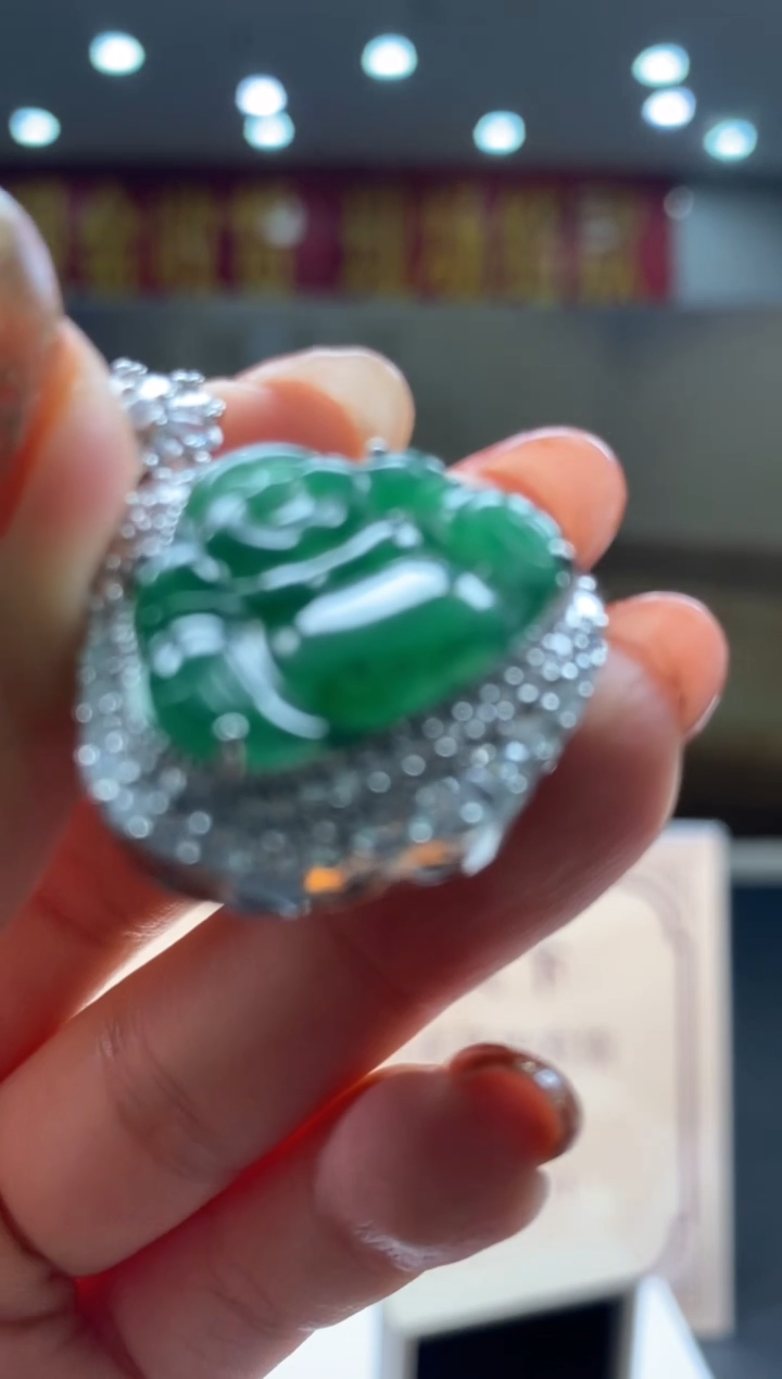 【闪购商品】翡翠颈饰未镶嵌********30