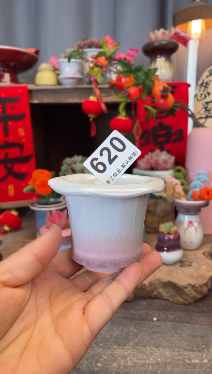 【闪购商品】摆件620知木小芳花盆