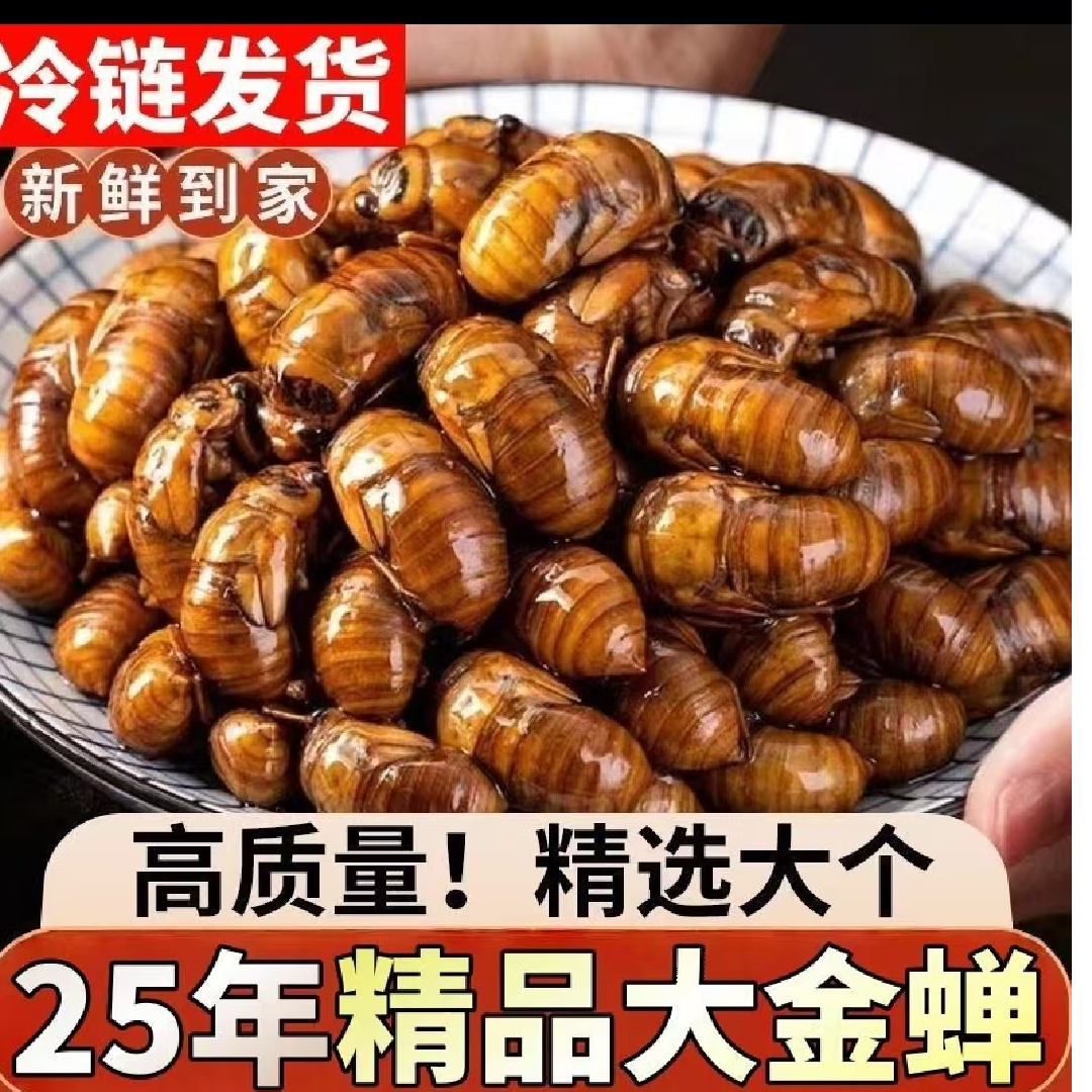 2025年野生知了猴金蝉现抓顺丰包邮