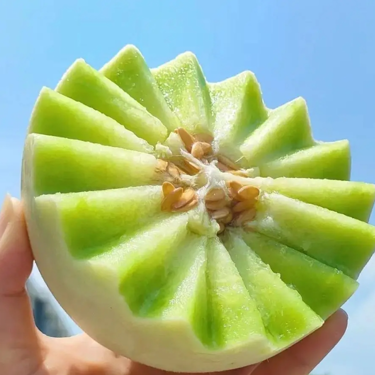 果切月露蜜瓜软甜哈密瓜1斤左右切盒