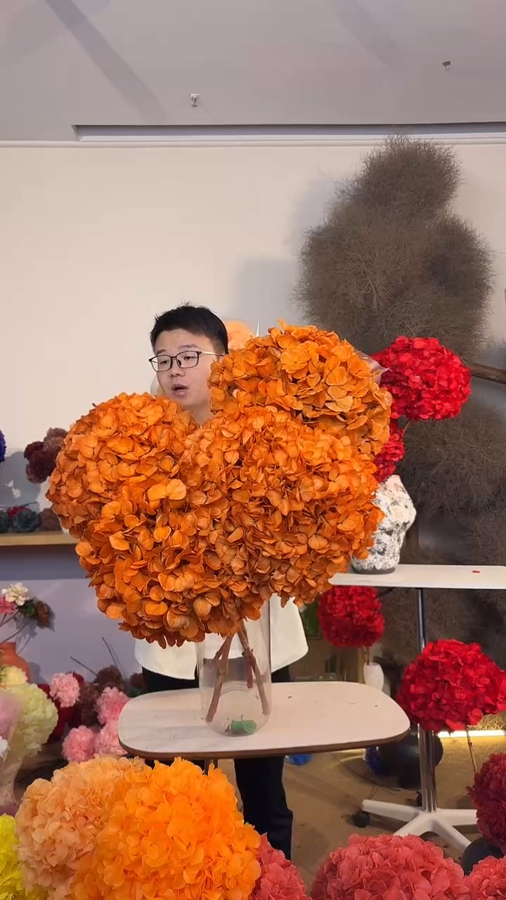 吸色永生大叶绣球6枝 橙