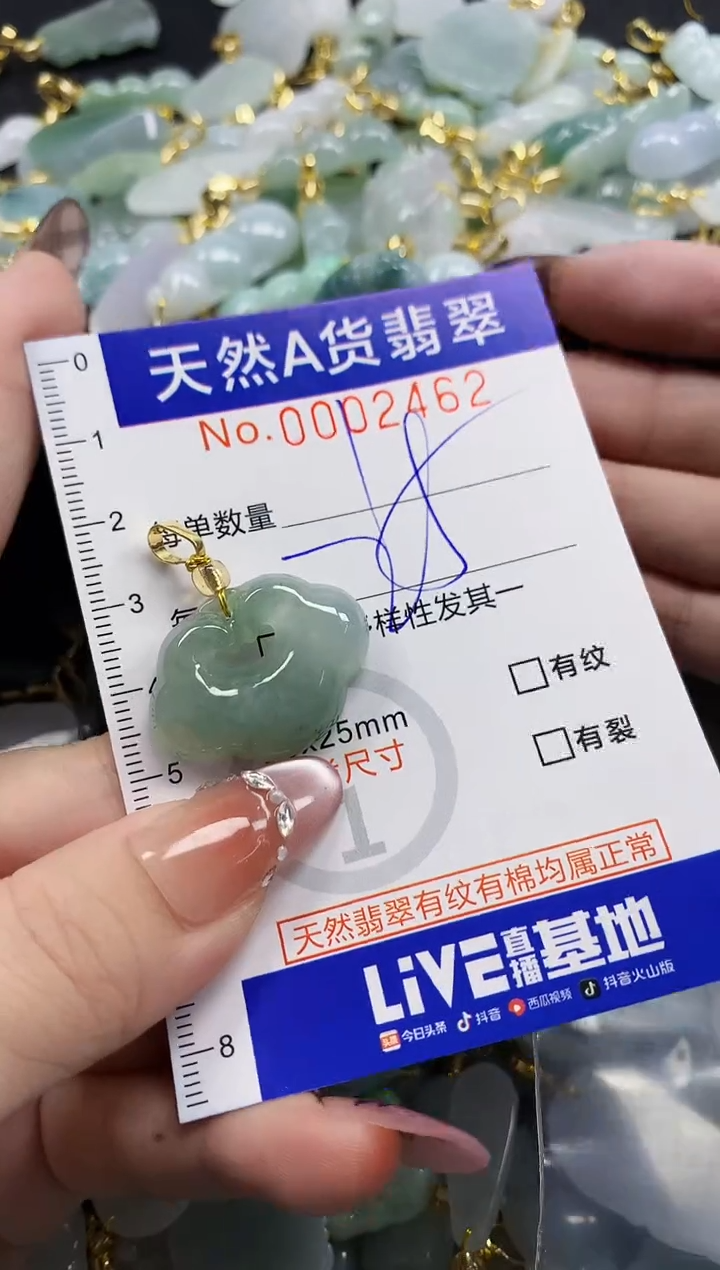 颈饰未镶嵌翡翠N****✨天然A货翡翠