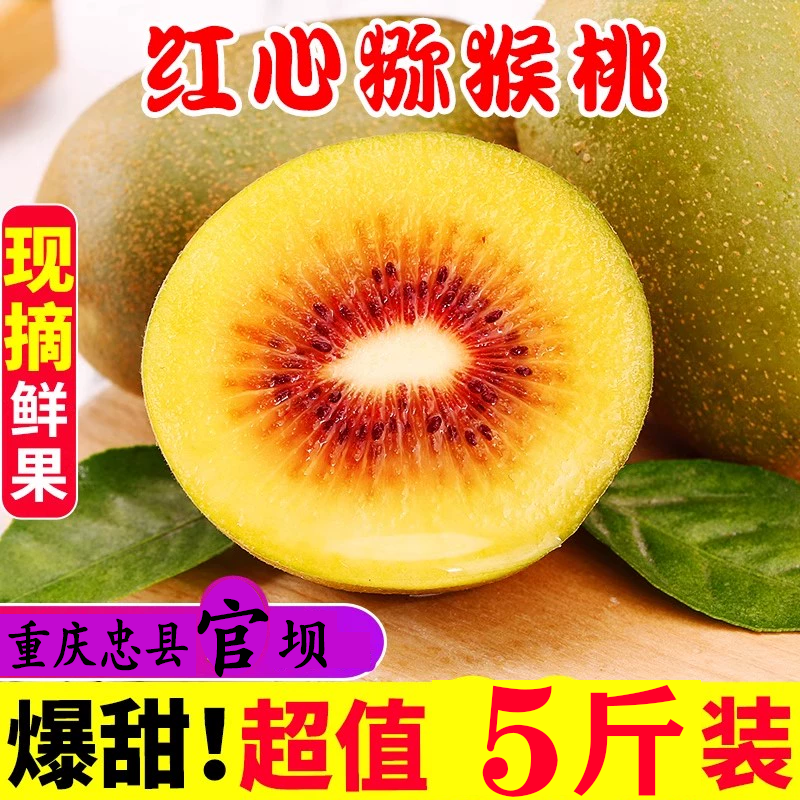 [支书助农]重庆忠县红心猕猴桃基地直发现采现发新鲜奇异果5斤装