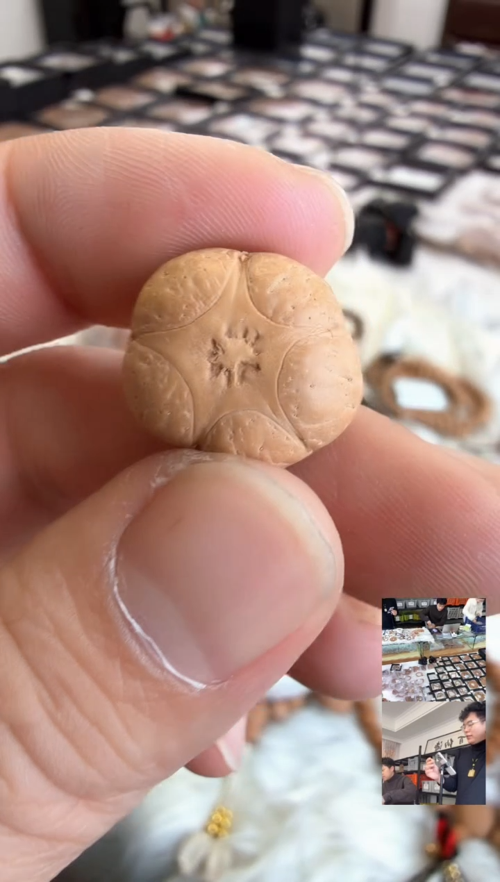 吊坠凤眼菩提4207尼泊尔五星三通 19mm