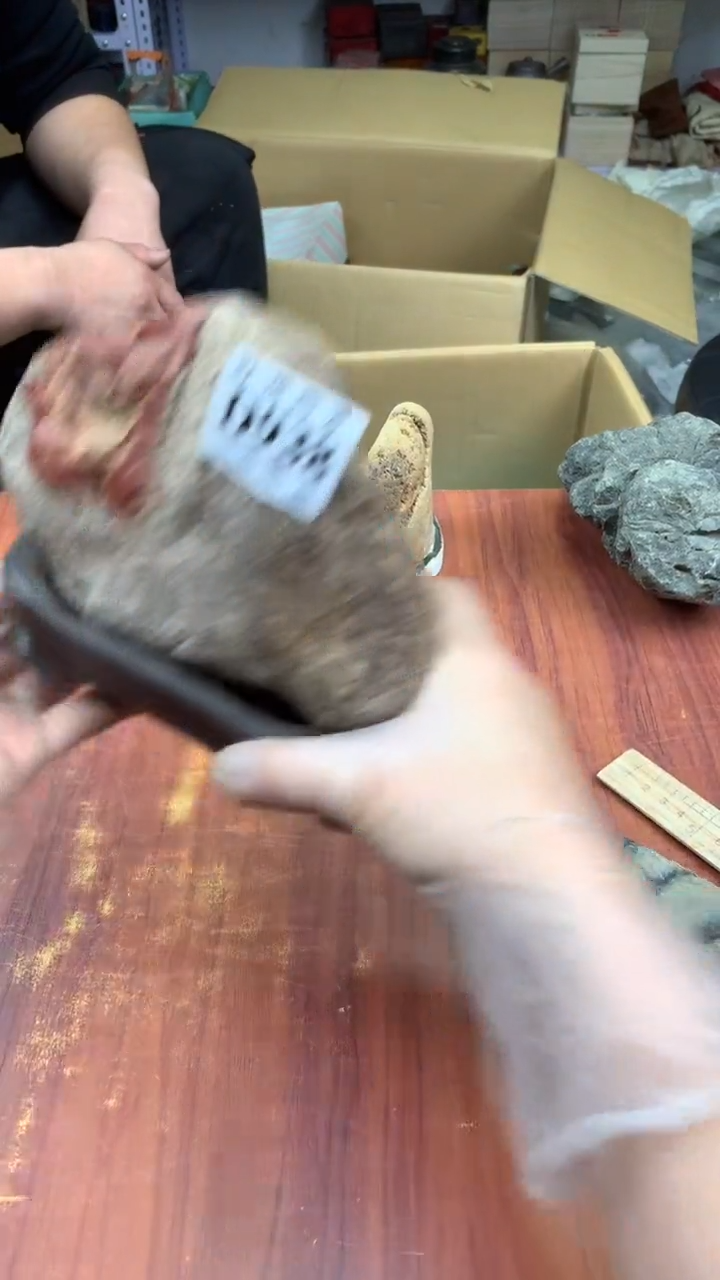 瓷片幸**安校长家杂项籈选3