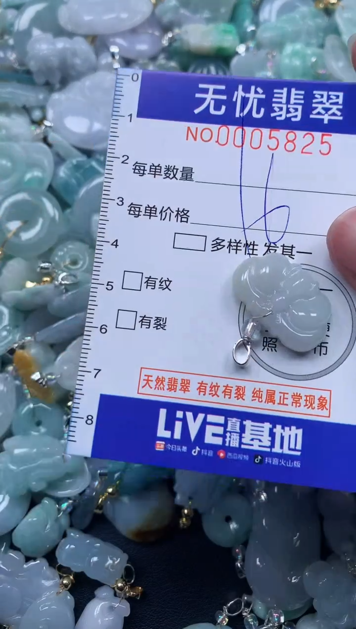 颈饰未镶嵌翡翠5825