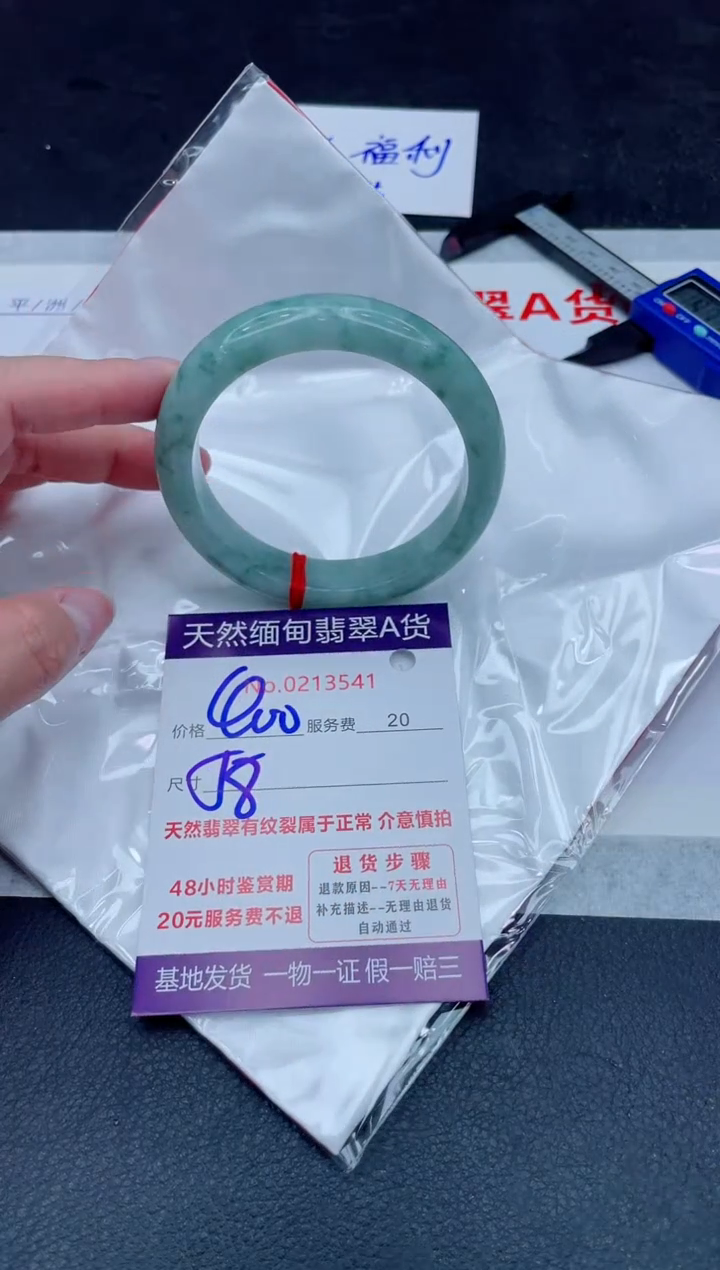未镶嵌手镯翡翠400.000000