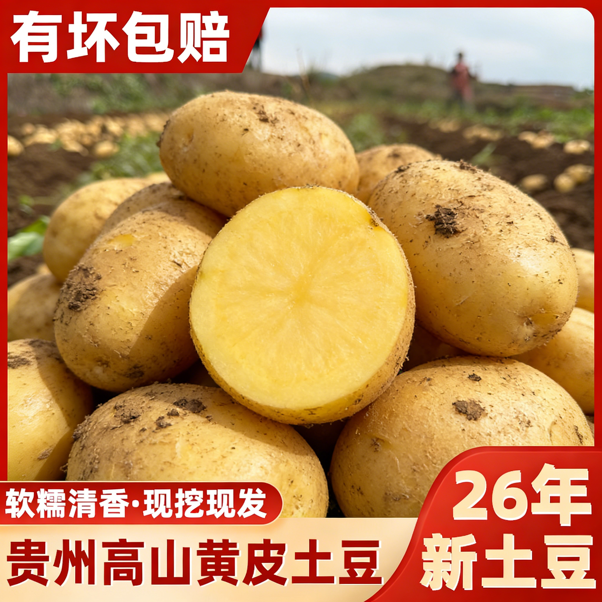贵州新土豆软糯起沙洋芋马铃薯黄肉黄心土豆当季蔬菜整箱