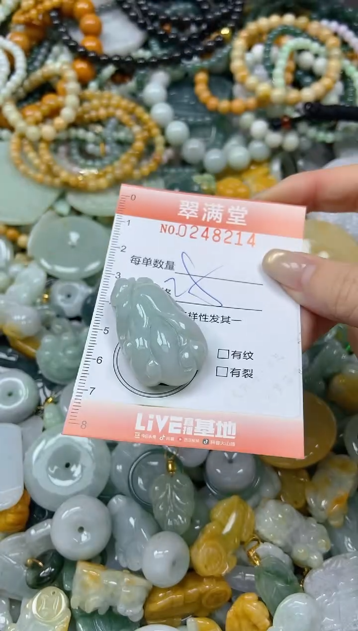 未镶嵌挂件翡翠闪购0248214