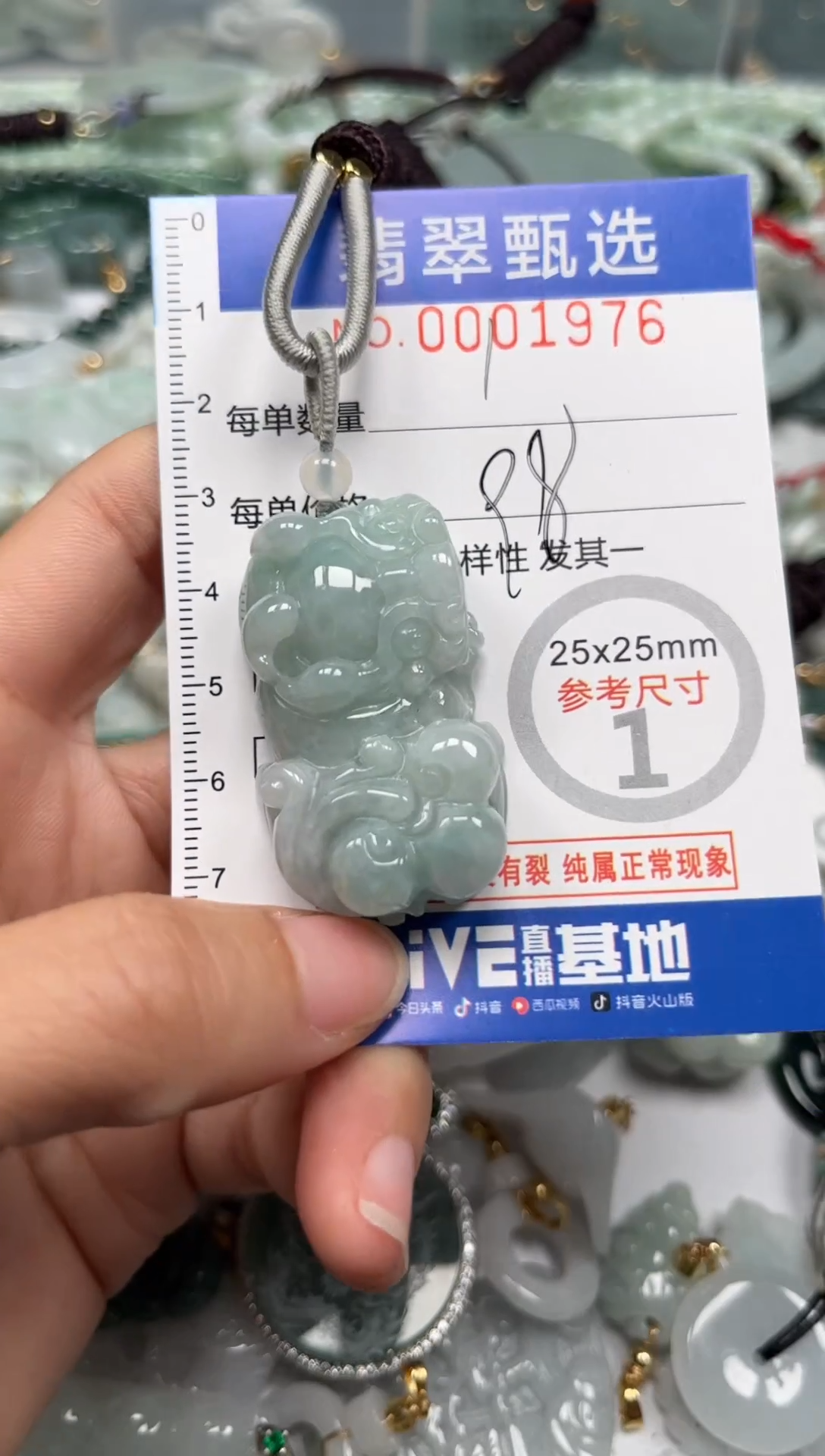 【闪购商品】翡翠颈饰未镶嵌00..1976