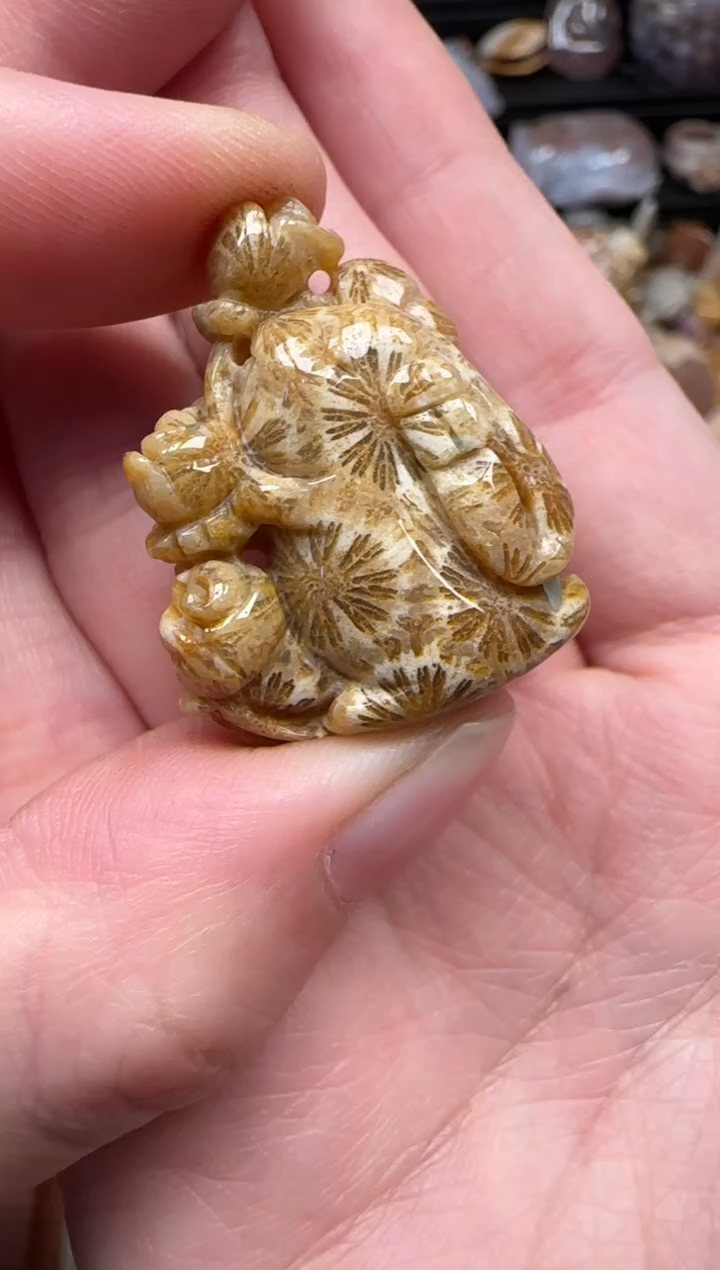 颈饰未镶嵌硅化珊瑚（珊瑚玉）141