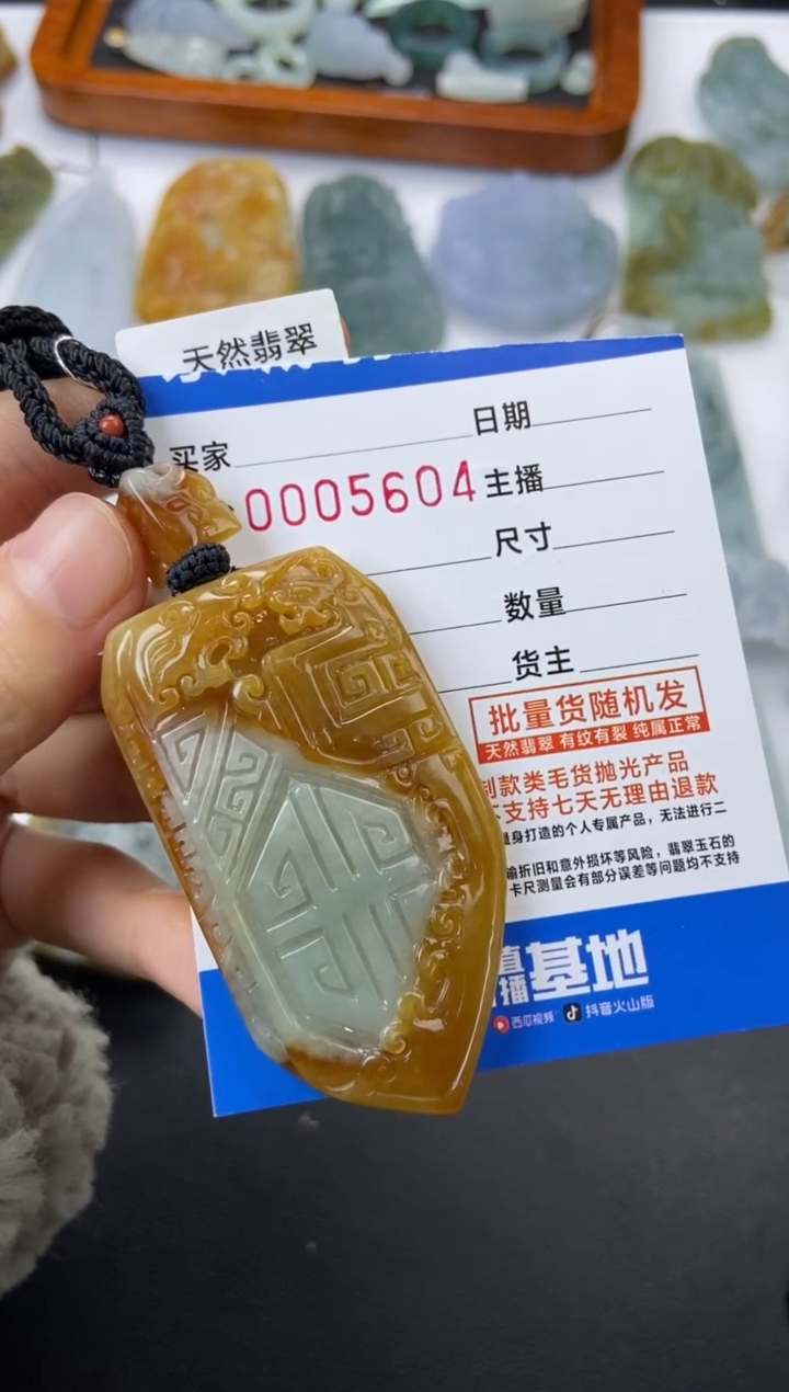 【闪购商品】翡翠颈饰未镶嵌盾牌