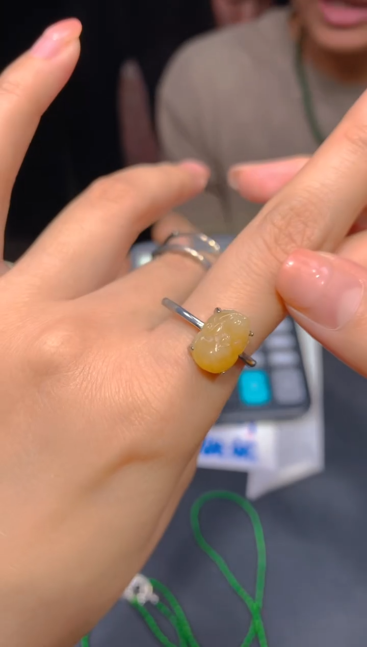 【闪购商品】定制翡翠未镶嵌43多样性发货（发其一）