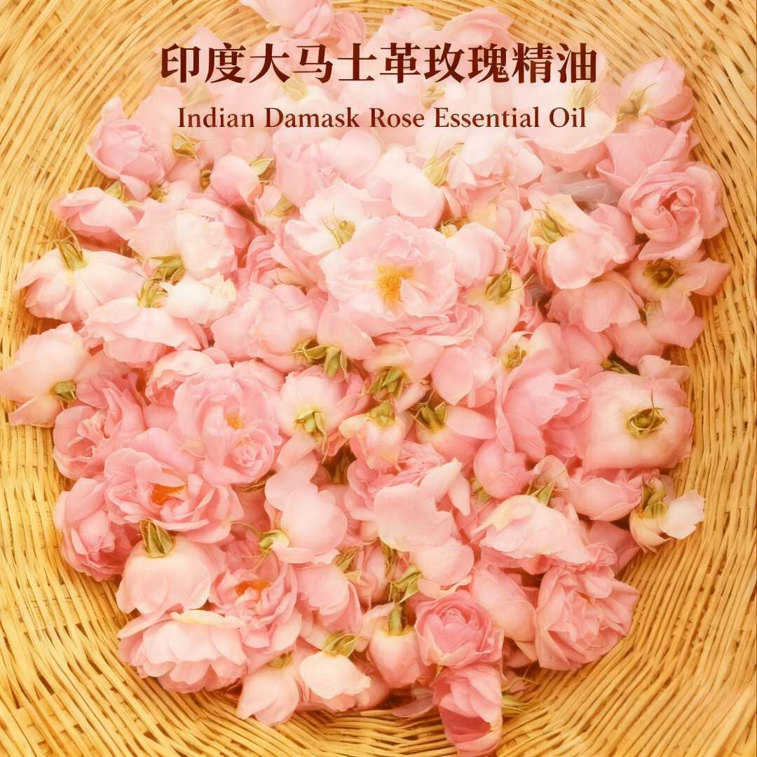 印度大马士革玫瑰单方精油   