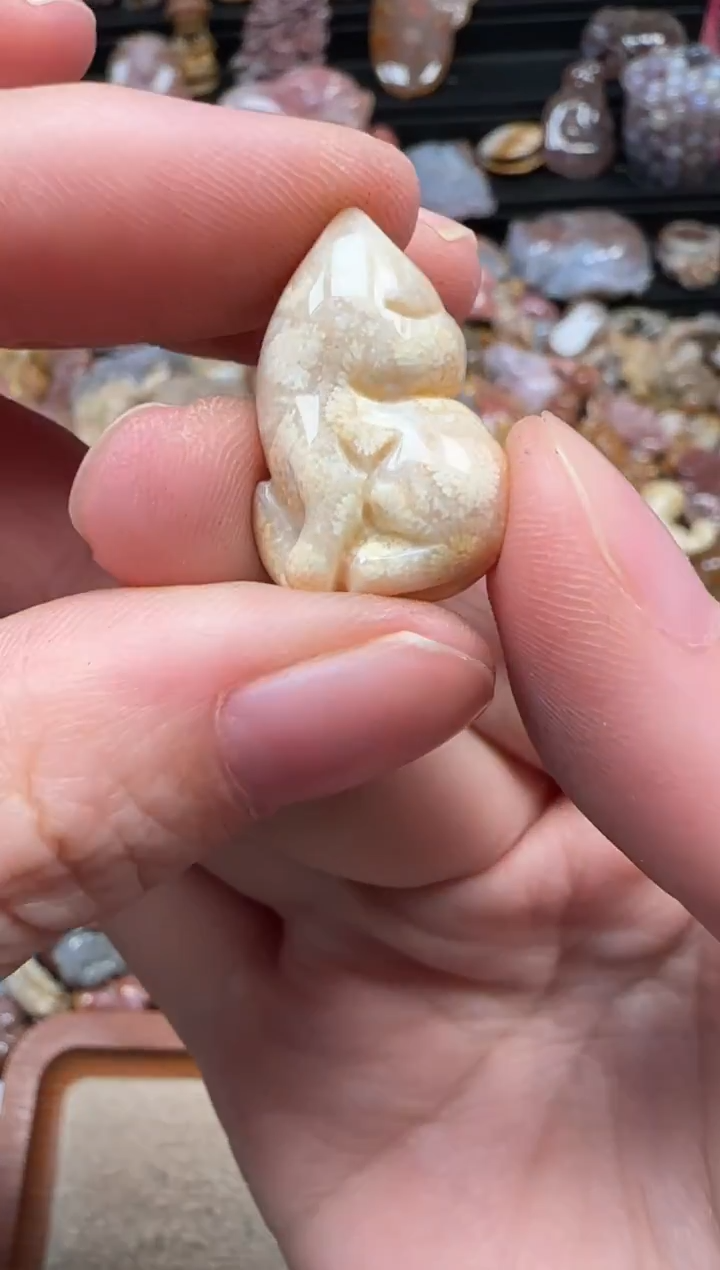 颈饰未镶嵌硅化珊瑚（珊瑚玉）126