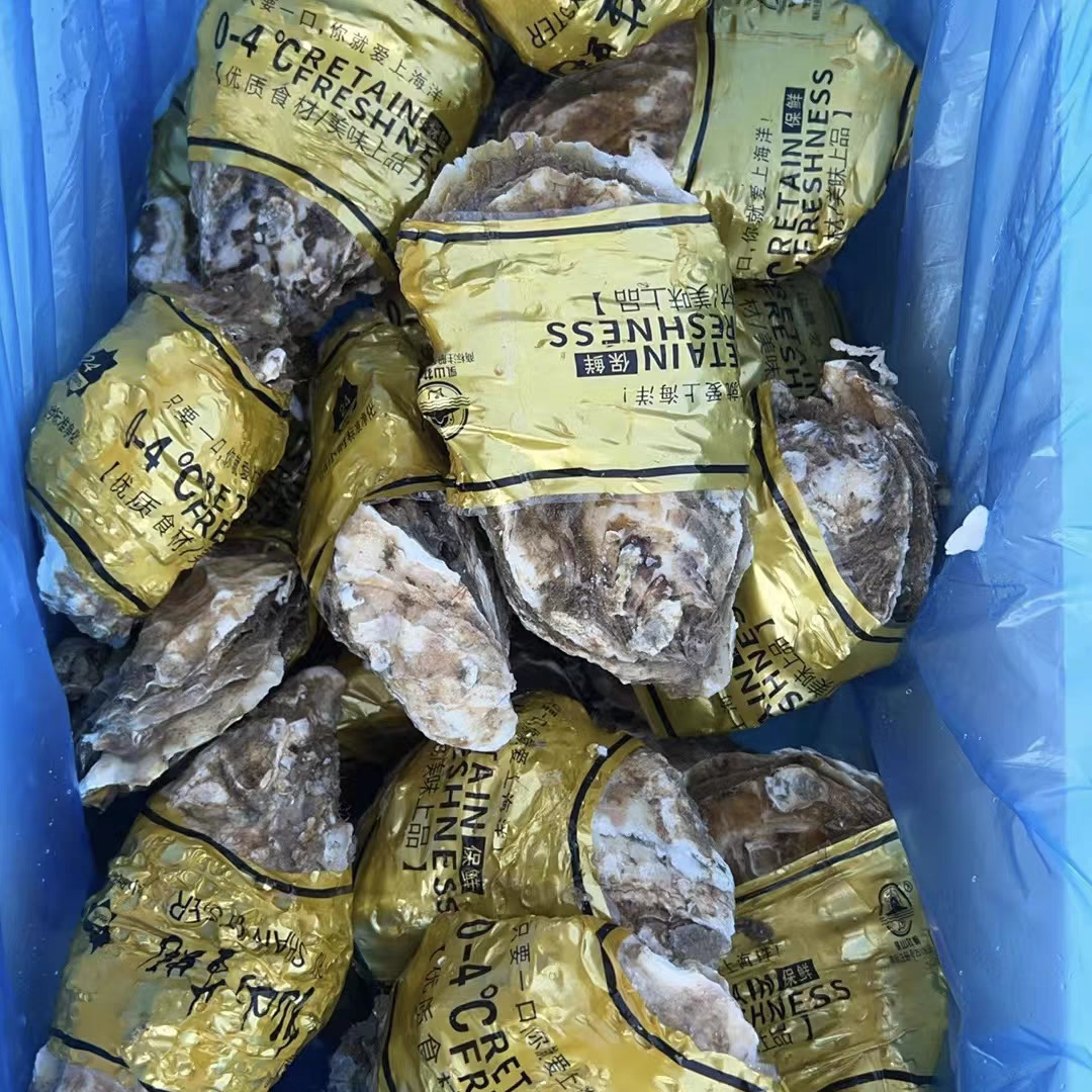 乳山生蚝（60只）