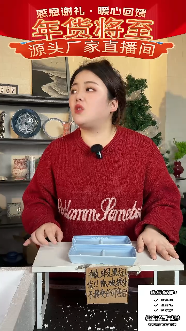 【闪购商品】瓷孤品-3