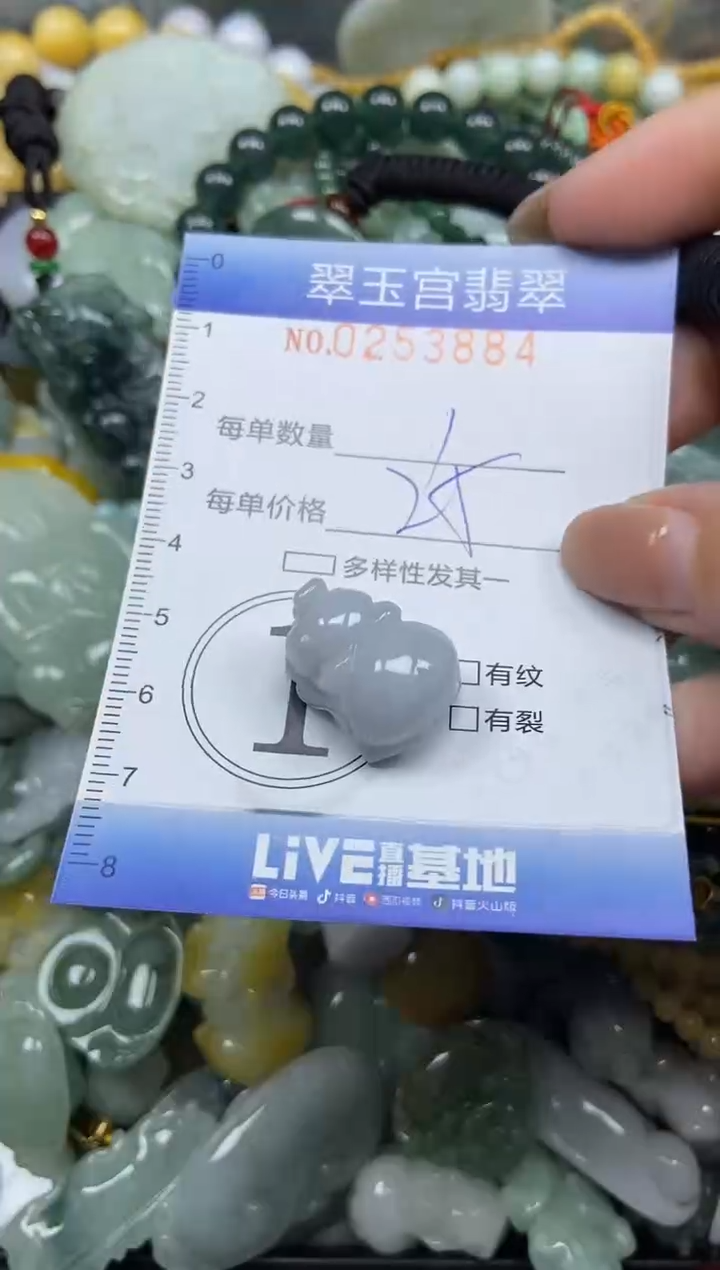 颈饰未镶嵌翡翠闪购C0253884