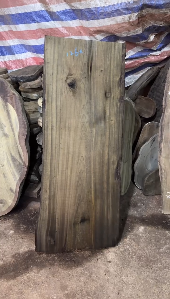 金丝楠小叶桢楠40