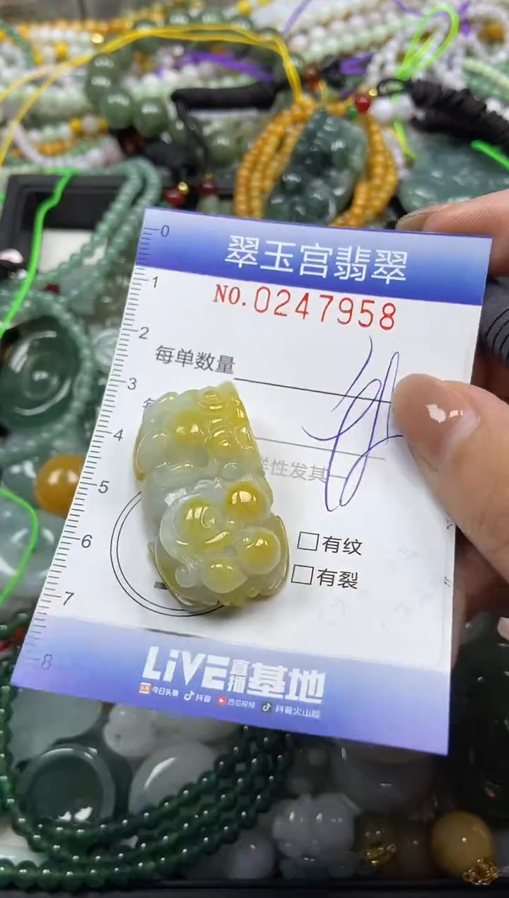 颈饰未镶嵌翡翠闪购C0247958
