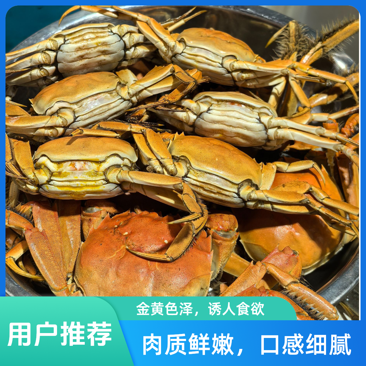 活蟹 盘锦稻田河蟹 全母蟹 0.8-1两 20只