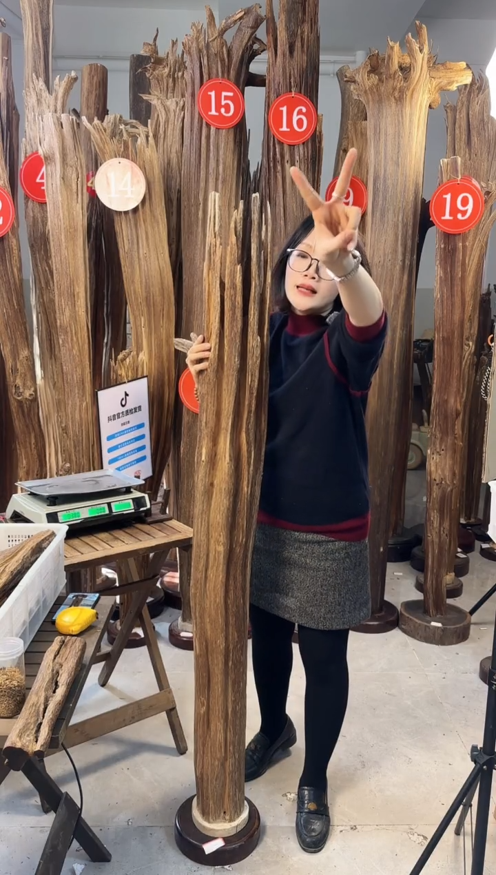 【闪购商品】沉香摆件 沉香摆件多样性发一件24