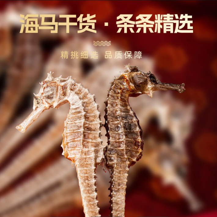 大号海马【只限徐铭鸿粉丝专拍】