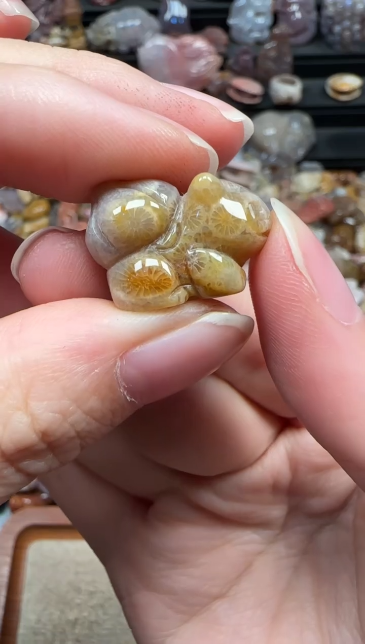 颈饰未镶嵌硅化珊瑚（珊瑚玉）298