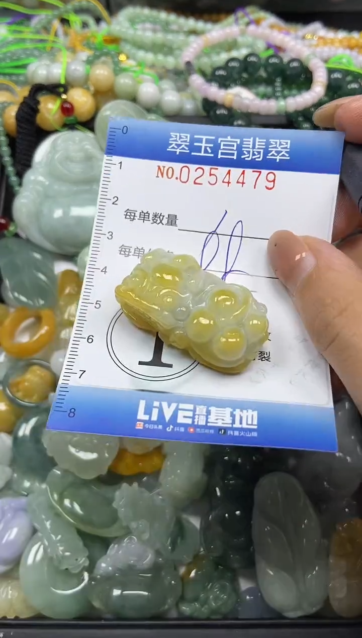 颈饰未镶嵌翡翠闪购C0254479