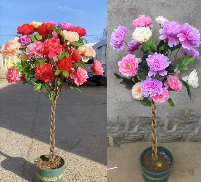 编织造型丹麦木槿花耐寒多色大花重瓣