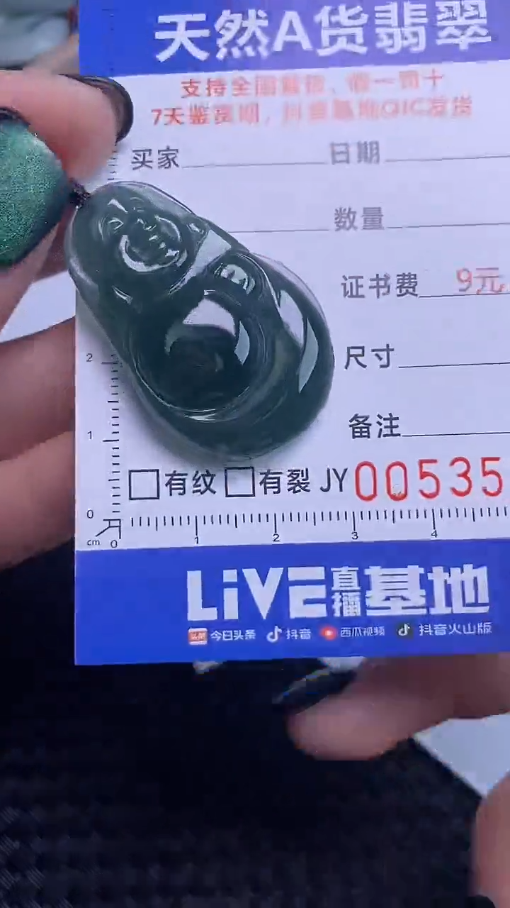 【闪购商品】翡翠颈饰未镶嵌A货翡翠3531