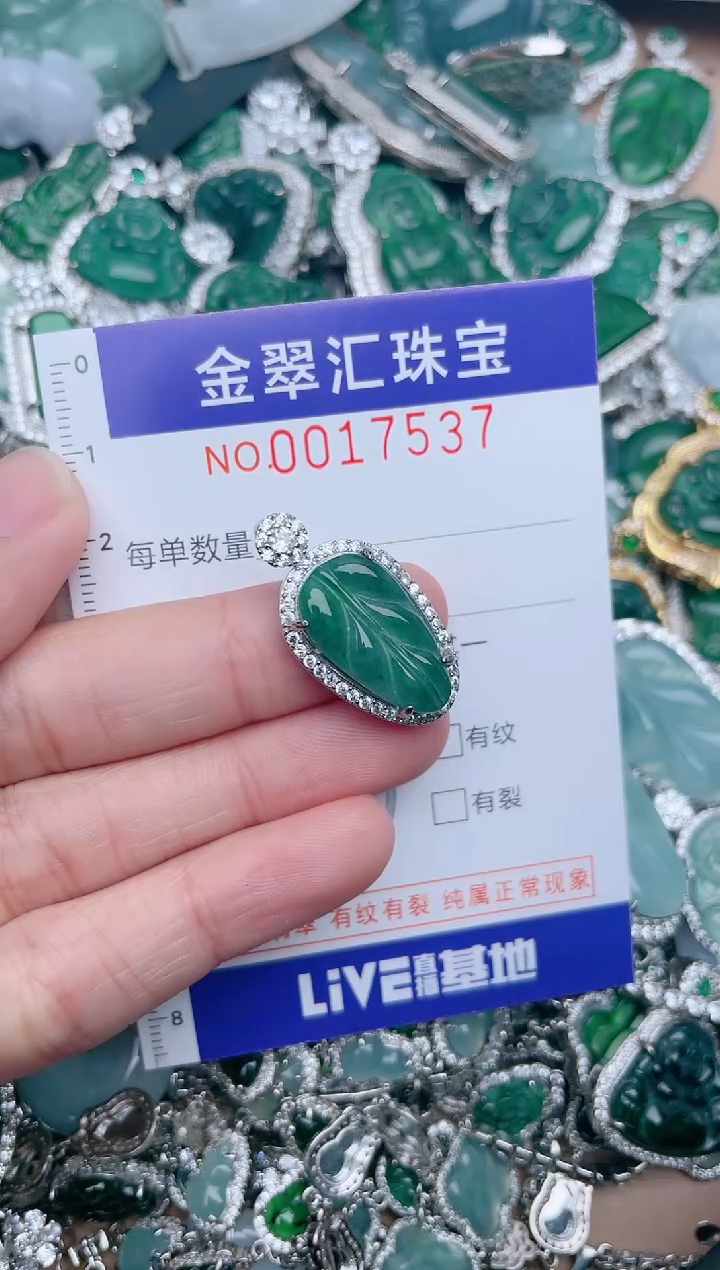 【闪购商品】翡翠颈饰未镶嵌17537.....1