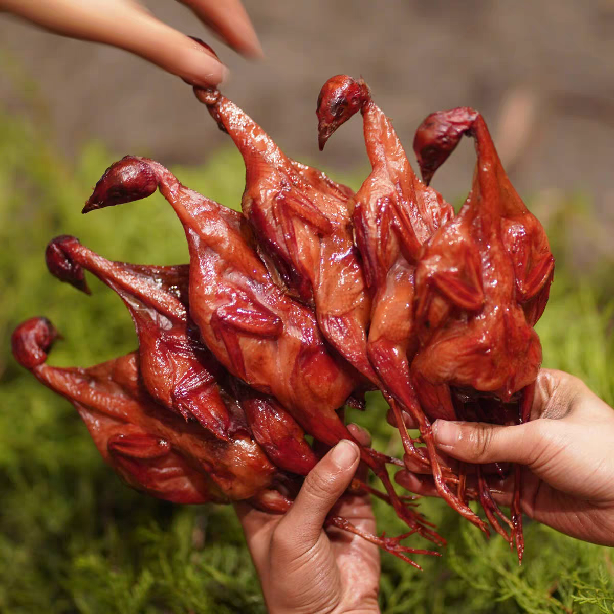 渔你有情古法熏鹌鹑新鲜鹌鹑烧烤下酒菜柴火烟熏美味