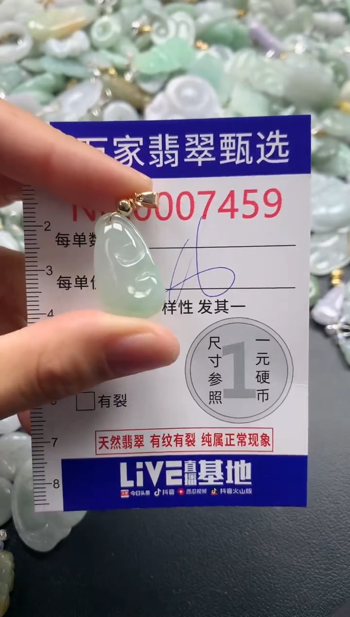 吊坠(不含链)未镶嵌翡翠7459