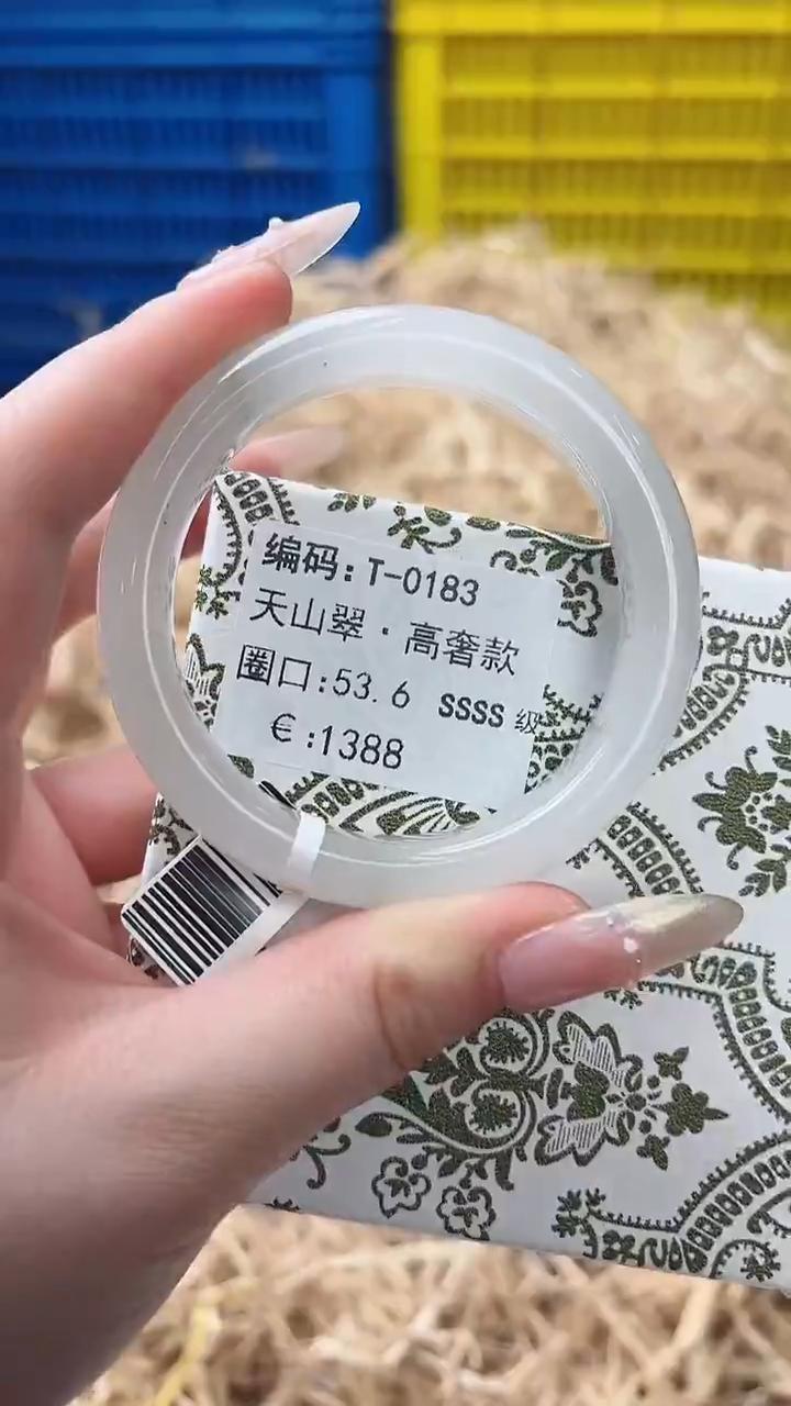 未镶嵌手镯石英质玉T-0183