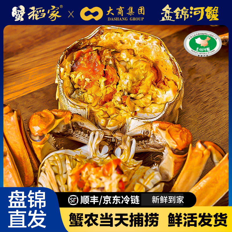 【活蟹】无品牌盘锦河蟹稻田蟹母蟹1.1-1.3两19-25只 生鲜冷链发货 包活