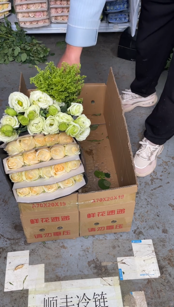 香槟20枝+绿桔梗400克+黄莺