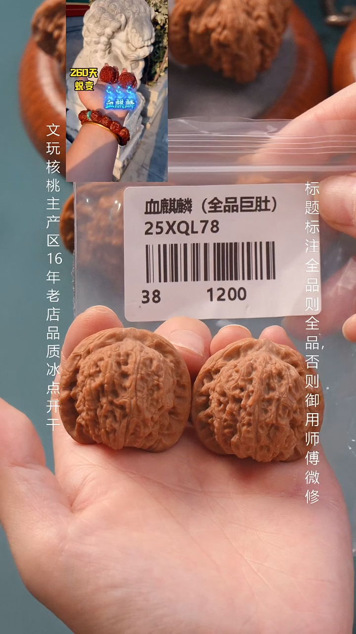 把件文玩核桃38血麒麟狮子头全品巨肚6号
